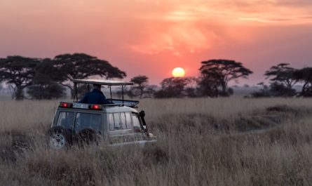 Voyager en Afrique