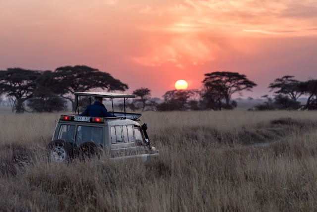 Voyager en Afrique