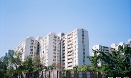 immobilier international