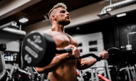 séances de musculation